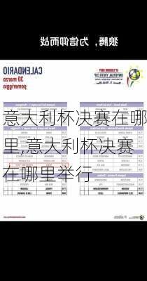 意大利杯决赛在哪里,意大利杯决赛在哪里举行