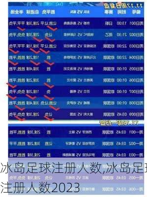 冰岛足球注册人数,冰岛足球注册人数2023
