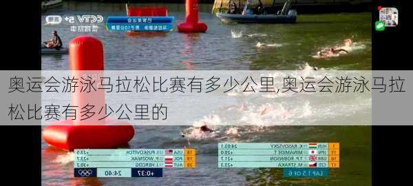 奥运会游泳马拉松比赛有多少公里,奥运会游泳马拉松比赛有多少公里的
