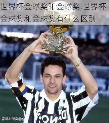 世界杯金球奖和金球奖,世界杯金球奖和金球奖有什么区别