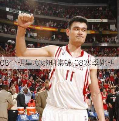 08全明星赛姚明集锦,08赛季姚明