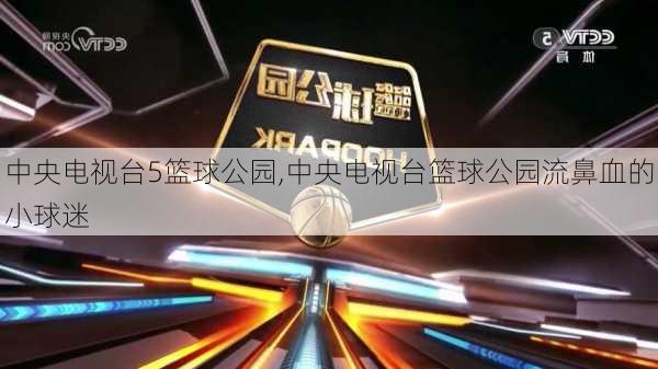 中央电视台5篮球公园,中央电视台篮球公园流鼻血的小球迷