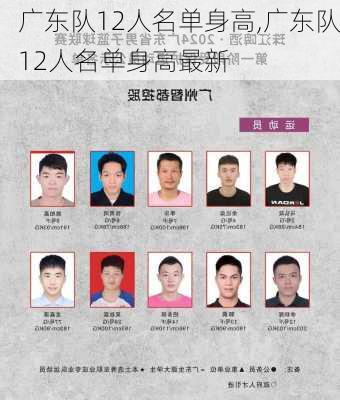 广东队12人名单身高,广东队12人名单身高最新