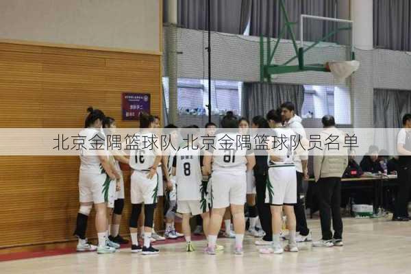 北京金隅篮球队,北京金隅篮球队员名单
