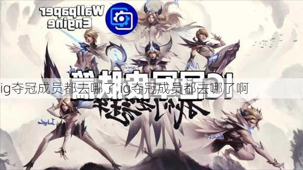 ig夺冠成员都去哪了,ig夺冠成员都去哪了啊
