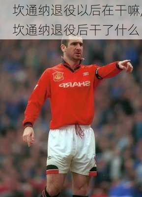 坎通纳退役以后在干嘛,坎通纳退役后干了什么