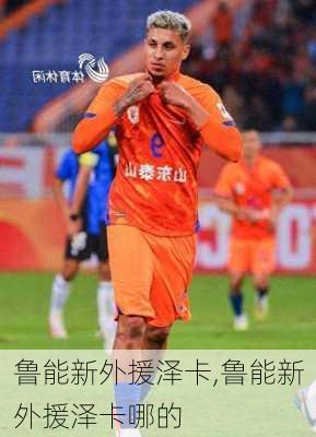 鲁能新外援泽卡,鲁能新外援泽卡哪的