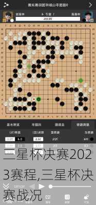 三星杯决赛2023赛程,三星杯决赛战况
