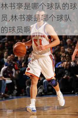 林书豪是哪个球队的球员,林书豪是哪个球队的球员啊