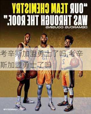 考辛斯加盟勇士了吗,考辛斯加盟勇士了吗