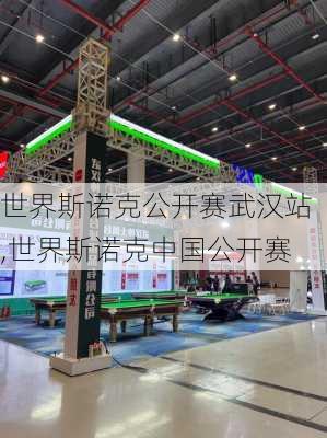 世界斯诺克公开赛武汉站,世界斯诺克中国公开赛