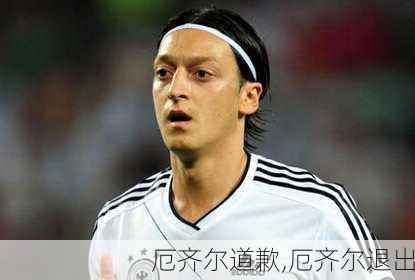 厄齐尔道歉,厄齐尔退出