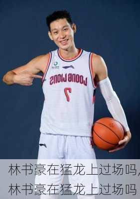 林书豪在猛龙上过场吗,林书豪在猛龙上过场吗