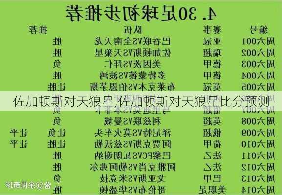 佐加顿斯对天狼星,佐加顿斯对天狼星比分预测
