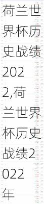 荷兰世界杯历史战绩2022,荷兰世界杯历史战绩2022年