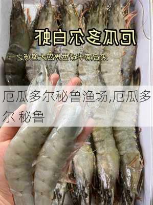 厄瓜多尔秘鲁渔场,厄瓜多尔 秘鲁