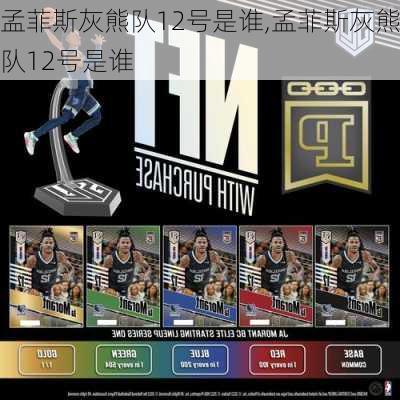 孟菲斯灰熊队12号是谁,孟菲斯灰熊队12号是谁
