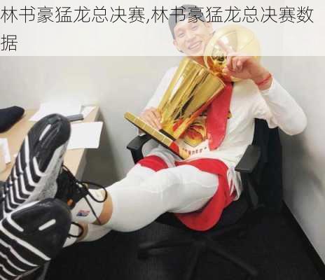 林书豪猛龙总决赛,林书豪猛龙总决赛数据