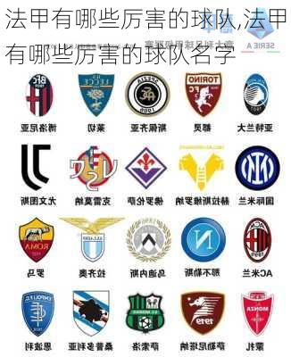 法甲有哪些厉害的球队,法甲有哪些厉害的球队名字