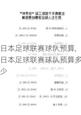 日本足球联赛球队预算,日本足球联赛球队预算多少