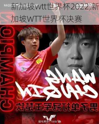 新加坡wtt世界杯2022,新加坡WTT世界杯决赛