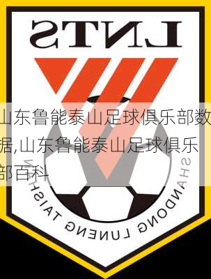山东鲁能泰山足球俱乐部数据,山东鲁能泰山足球俱乐部百科