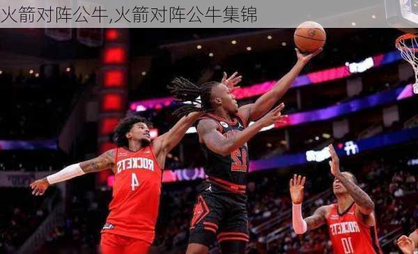 火箭对阵公牛,火箭对阵公牛集锦