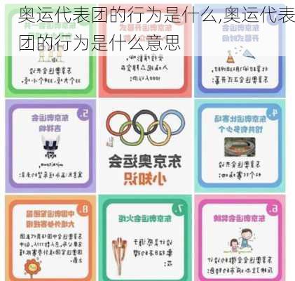 奥运代表团的行为是什么,奥运代表团的行为是什么意思