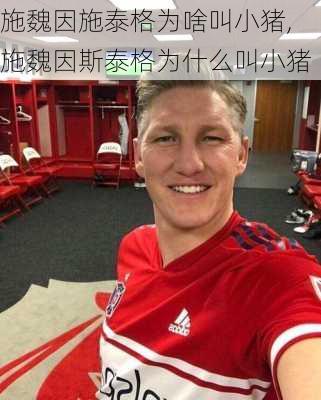 施魏因施泰格为啥叫小猪,施魏因斯泰格为什么叫小猪