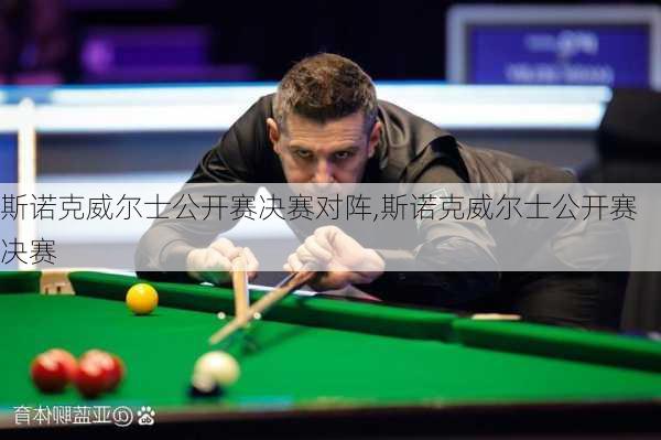 斯诺克威尔士公开赛决赛对阵,斯诺克威尔士公开赛 决赛