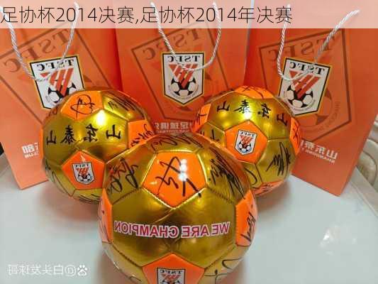 足协杯2014决赛,足协杯2014年决赛