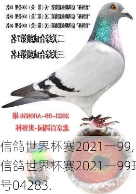 信鸽世界杯赛2021一99,信鸽世界杯赛2021一99环号04283.