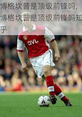博格坎普是顶级前锋吗,博格坎普是顶级前锋吗知乎
