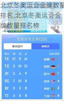 北京冬奥运会金牌数量排名,北京冬奥运会金牌数量排名榜