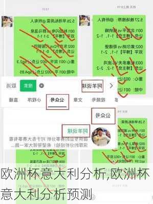 欧洲杯意大利分析,欧洲杯意大利分析预测