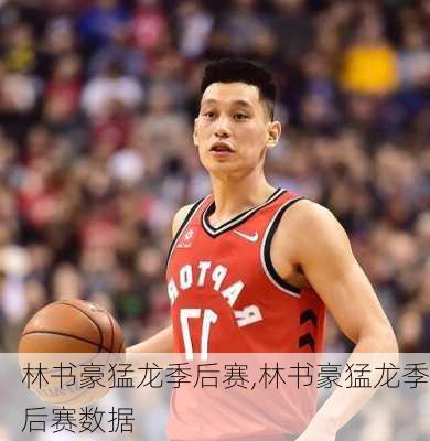 林书豪猛龙季后赛,林书豪猛龙季后赛数据