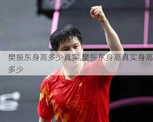 樊振东身高多少真实,樊振东身高真实身高多少