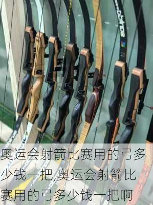 奥运会射箭比赛用的弓多少钱一把,奥运会射箭比赛用的弓多少钱一把啊
