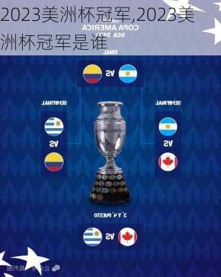2023美洲杯冠军,2023美洲杯冠军是谁