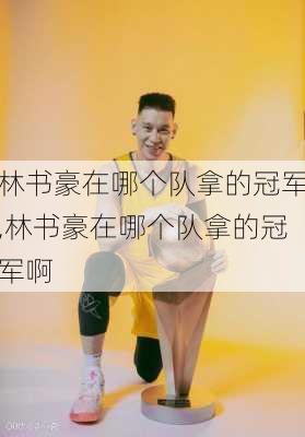 林书豪在哪个队拿的冠军,林书豪在哪个队拿的冠军啊