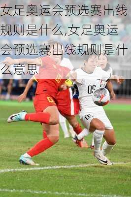 女足奥运会预选赛出线规则是什么,女足奥运会预选赛出线规则是什么意思