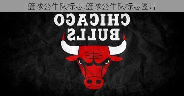篮球公牛队标志,篮球公牛队标志图片