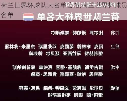 荷兰世界杯球队大名单公布,荷兰世界杯球员名单
