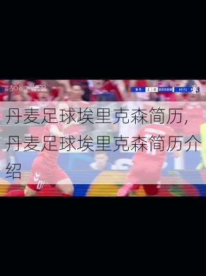丹麦足球埃里克森简历,丹麦足球埃里克森简历介绍