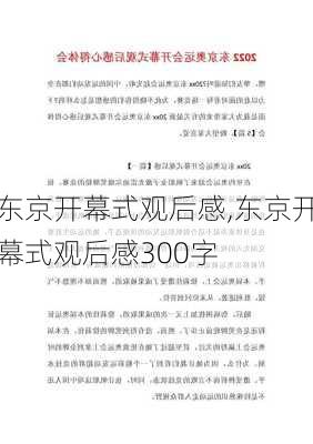 东京开幕式观后感,东京开幕式观后感300字