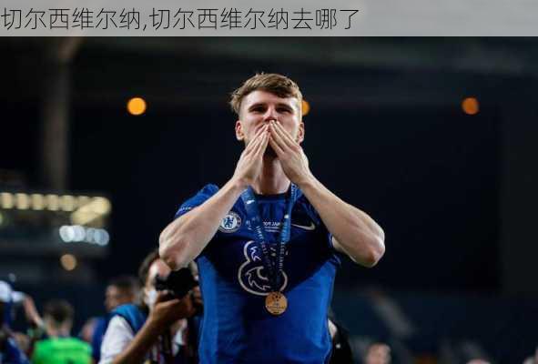 切尔西维尔纳,切尔西维尔纳去哪了