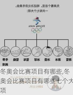 冬奥会比赛项目有哪些,冬奥会比赛项目有哪些七个大项
