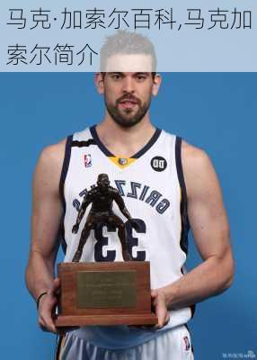 马克·加索尔百科,马克加索尔简介