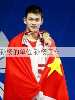 孙杨的单位,孙杨工作