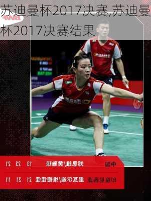 苏迪曼杯2017决赛,苏迪曼杯2017决赛结果